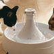 PetSafe Drinkwell 360 Pet Water Fountain | $30 | Amazon